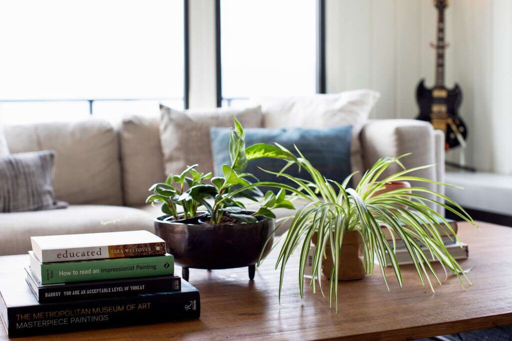 plants on coffee table