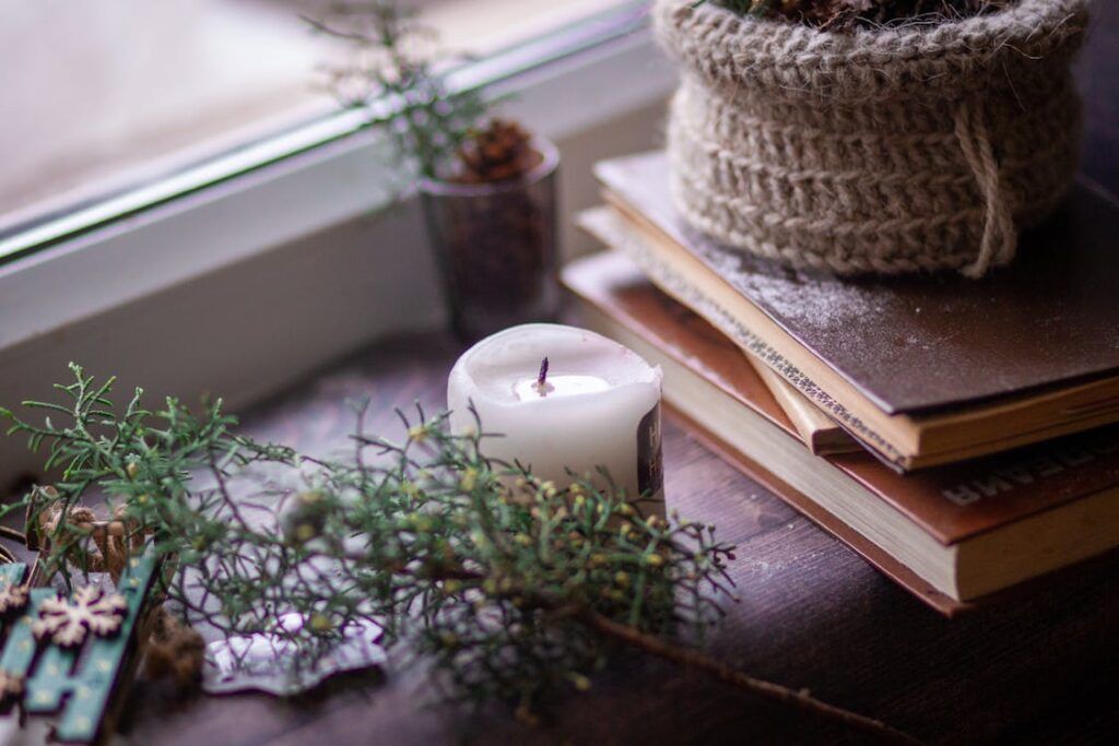 morning habits to boost energy -morning routine flatlay (plant, book, candle)