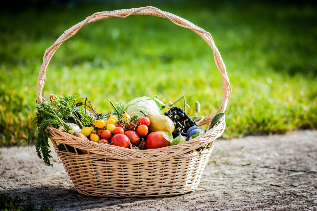 grocery basket with fresh produce