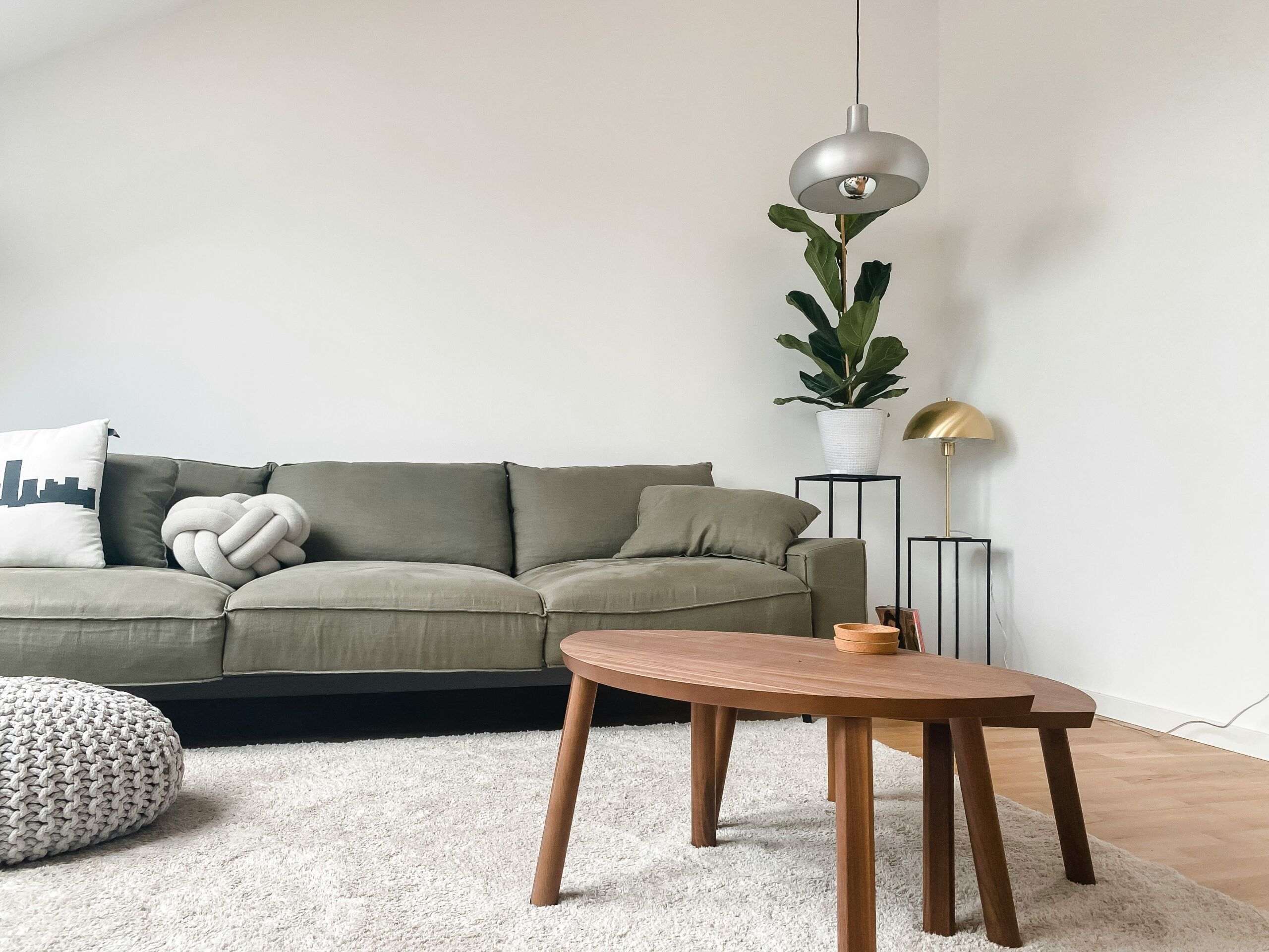 minimalist living room