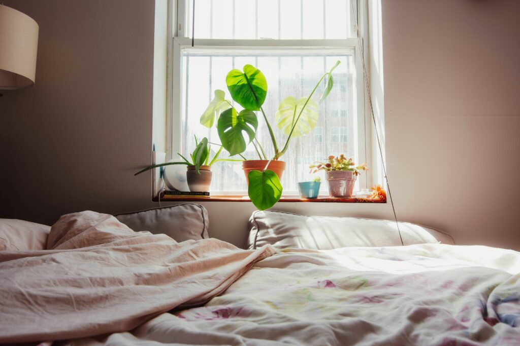 cozy bedroom with sunlight