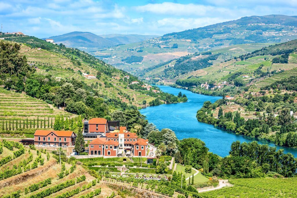 Douro Valley vineyards