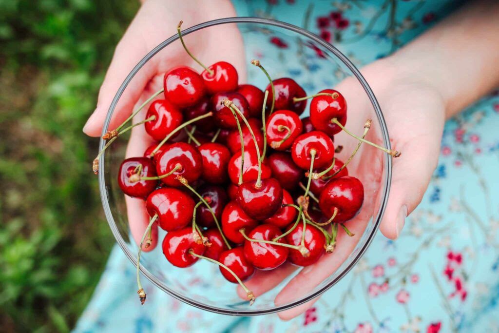 bowl of cherries